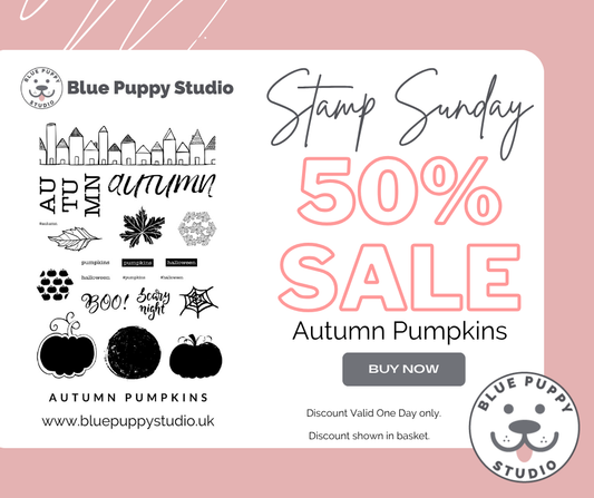 Stamp Sunday – Autumn Pumpkins Stamp Set 50% off at Blue Puppy Studio